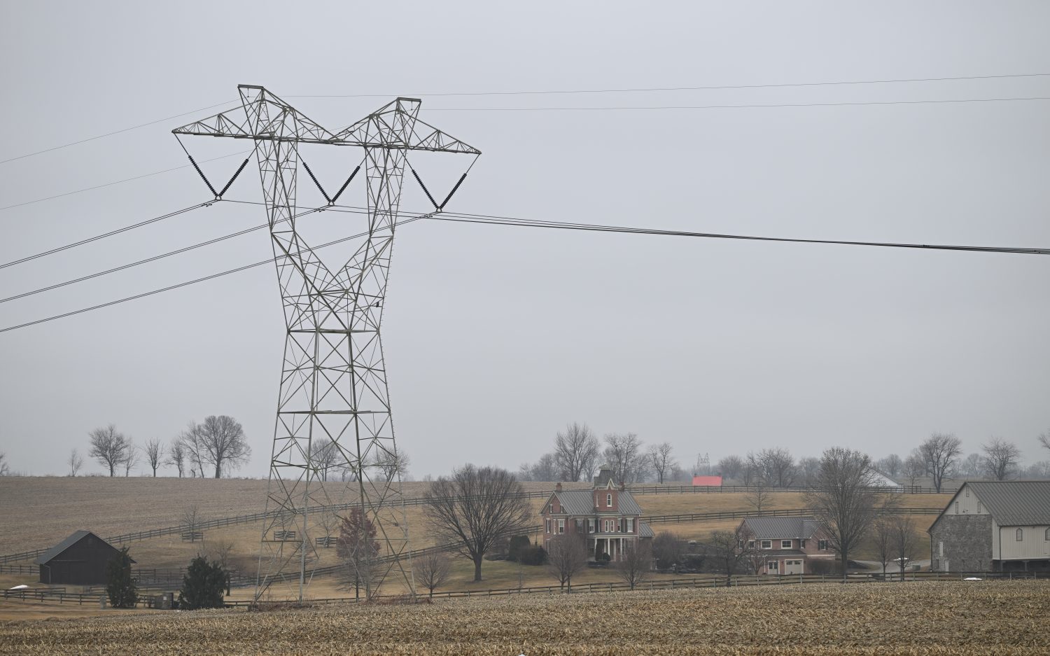T3 AI Powerlines