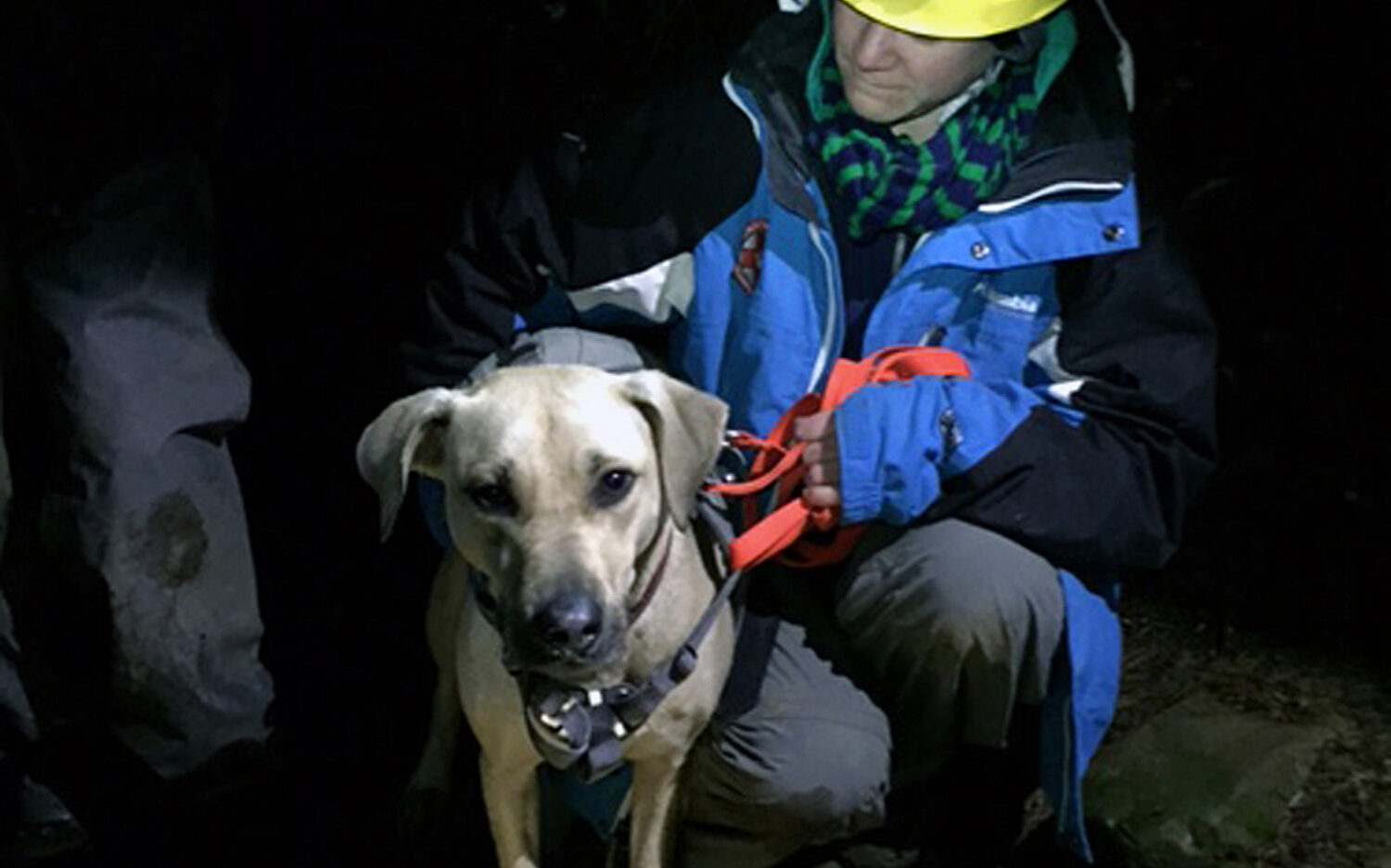 Trapped20 Dog20 Rescue Kolz
