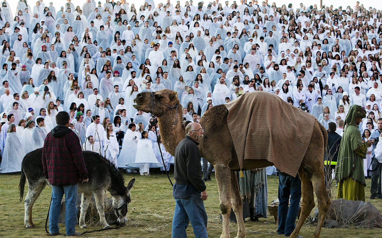 UTSAL102 biggestnativity