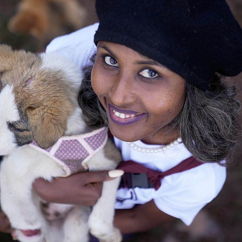 1 Ethiopia dogs AP k