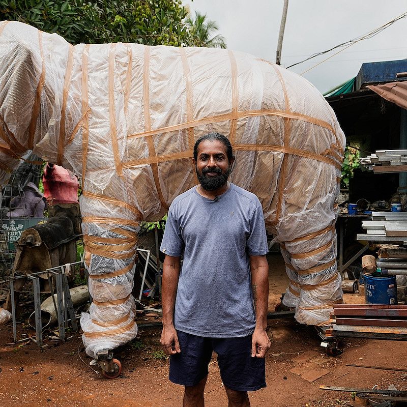 1 Robotic elephants AP