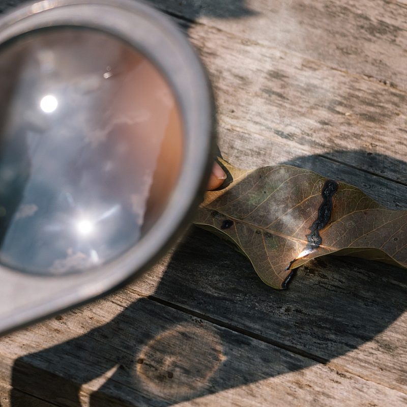 1 burn dry leaf by combining light with a magnifying Envato