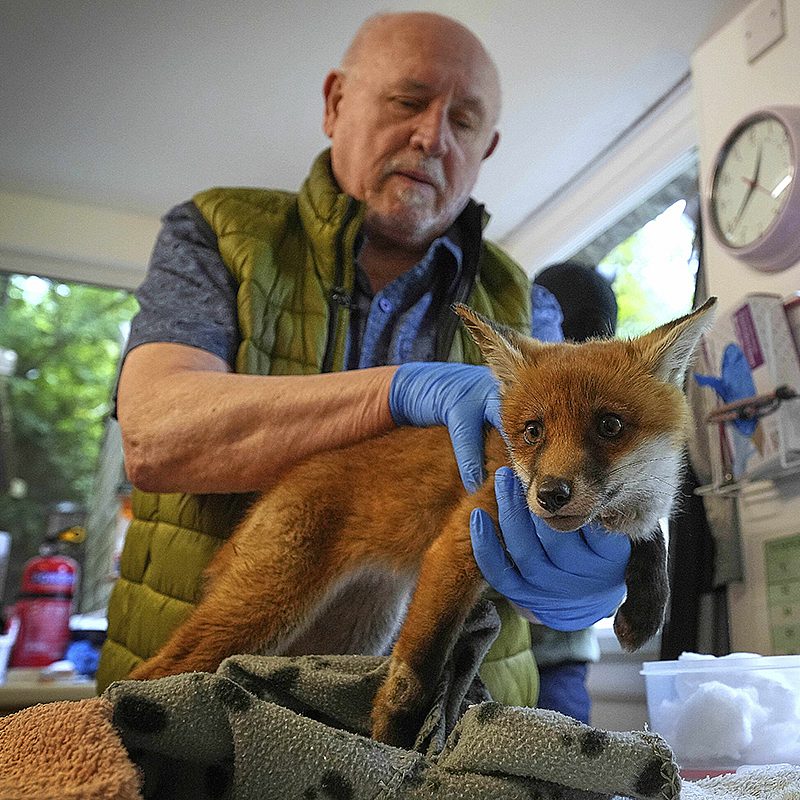 1 fox london AP