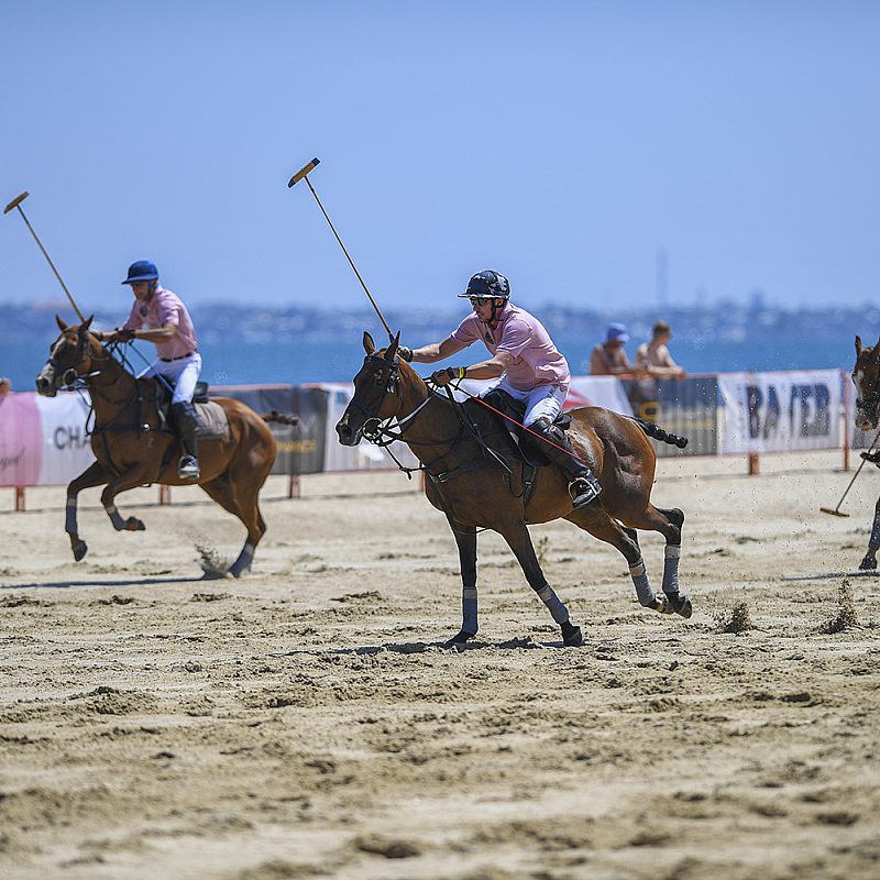 1 horse sports AP