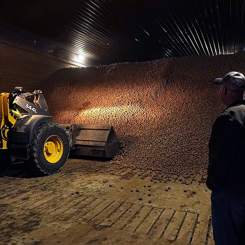 1 potato storage AP