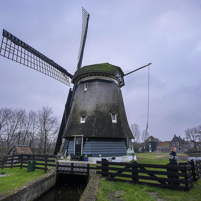 1 windmills k AP25049418473072