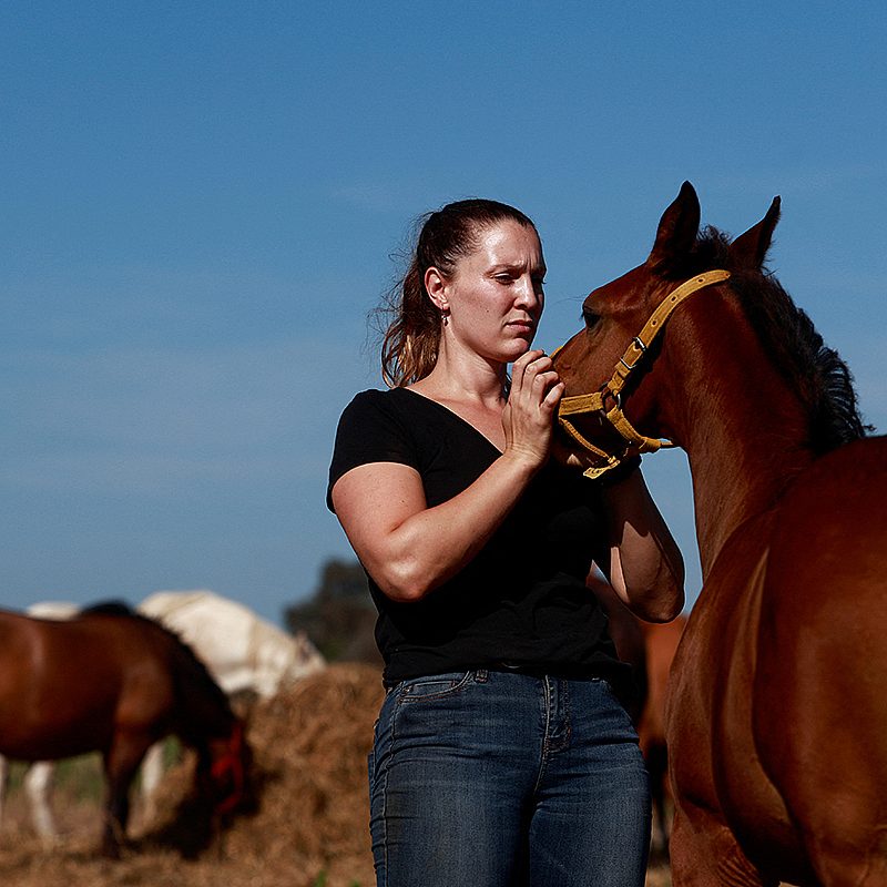 1 poloponies Reuters t