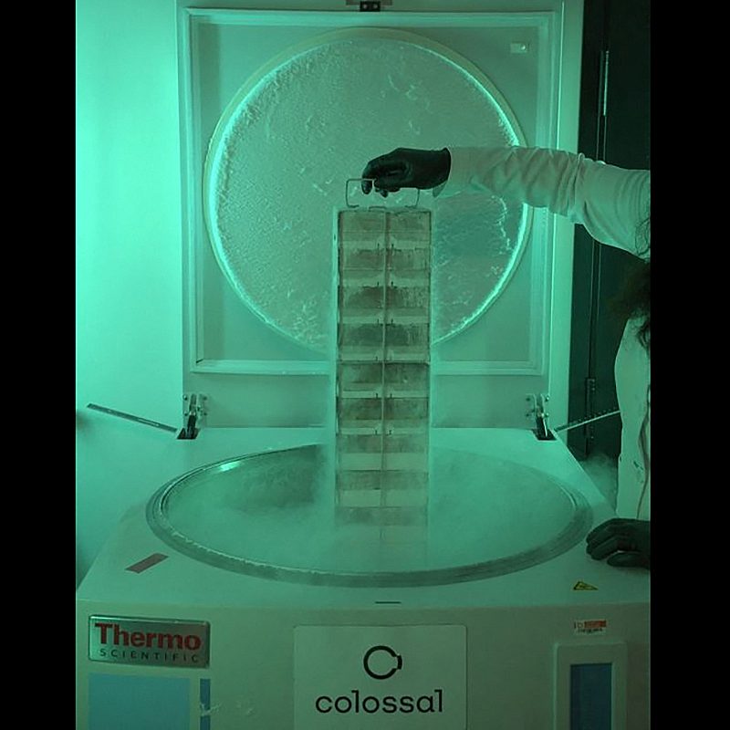 1 Biovault Reuters k