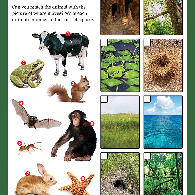 SEC2 animal habitats thumbnail