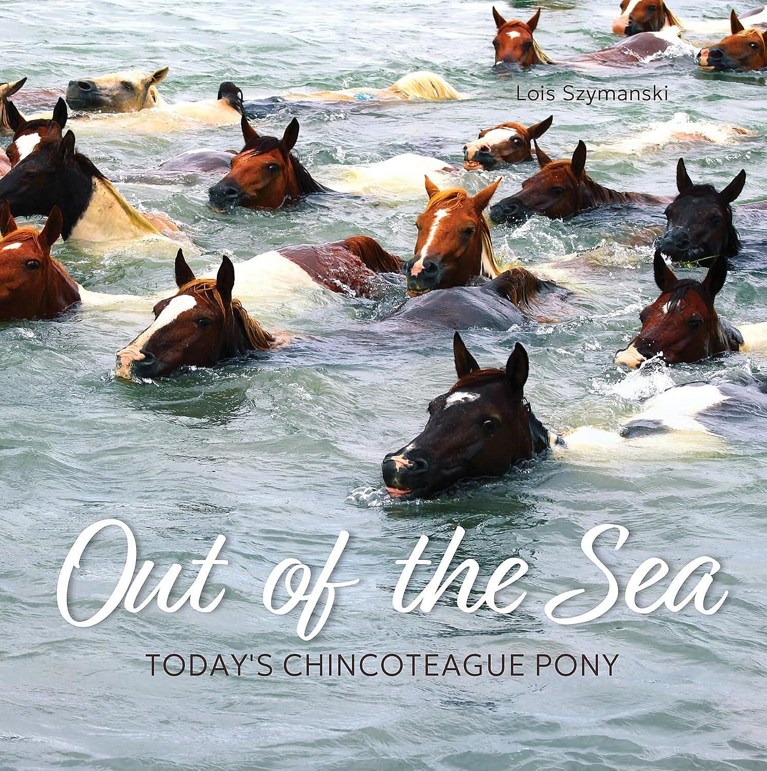 Chincoteague