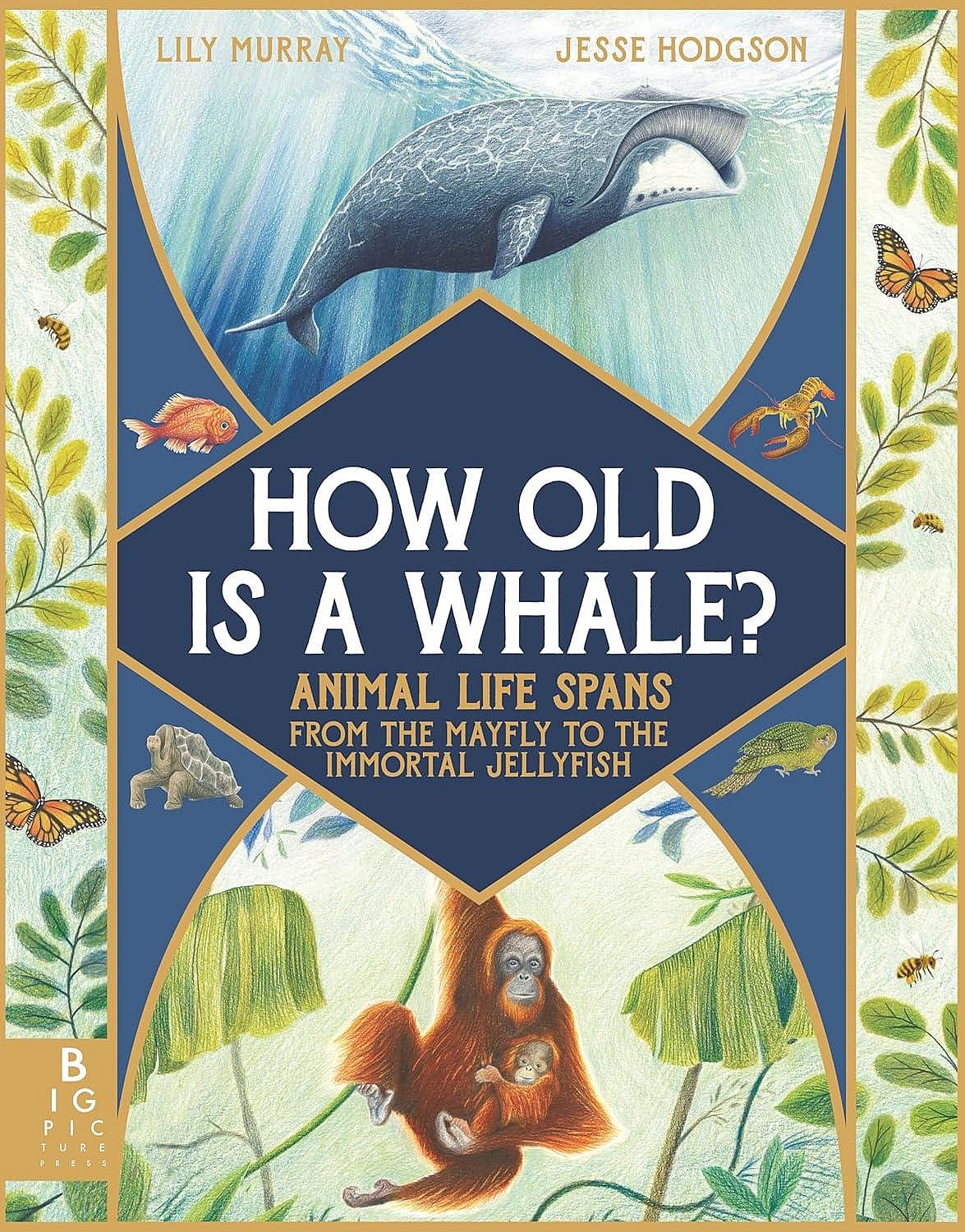 How Old Is a Whale