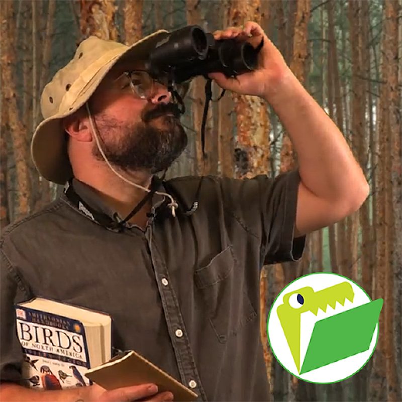 CF birding thumbnail