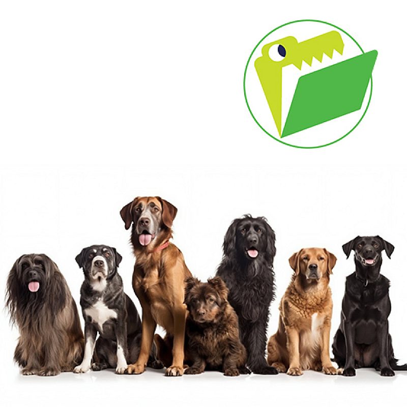 CF dog hub thumbnail