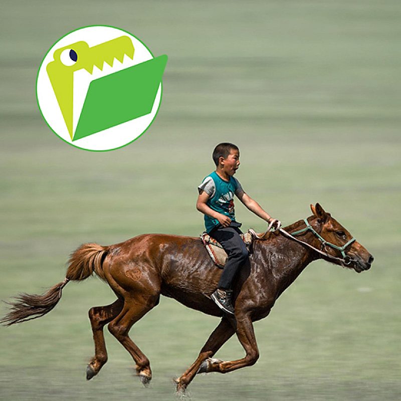 CF horse thumbnail