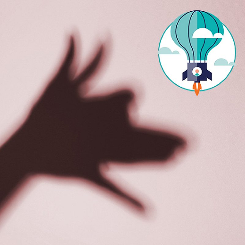 JB shadow puppet thumbnail