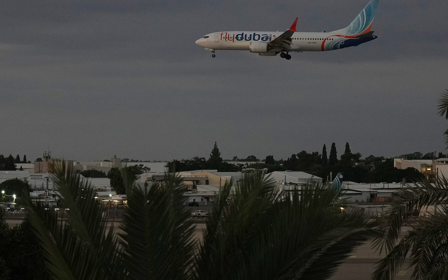 T1 38233