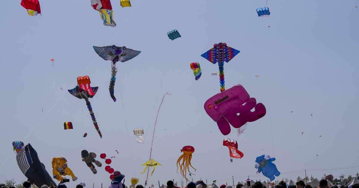 Let’s Go Fly a Kite | God's World News