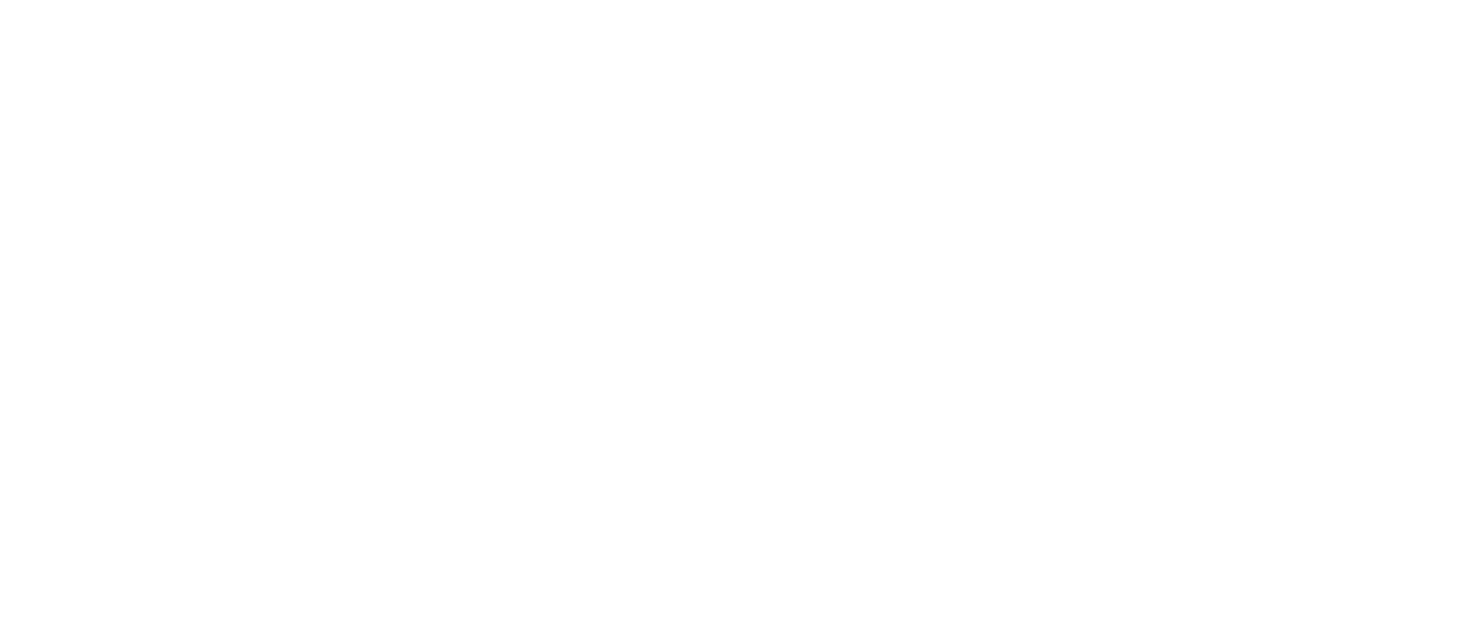 WW logo horiz stacked white