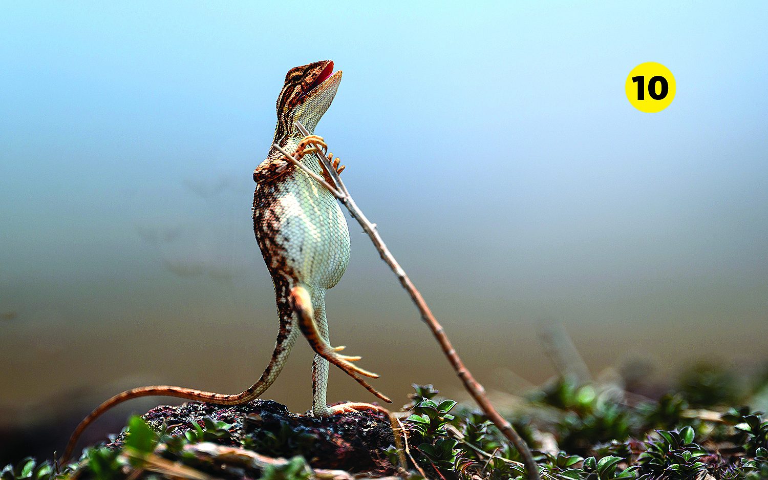 Photographer: Sanjay Patil