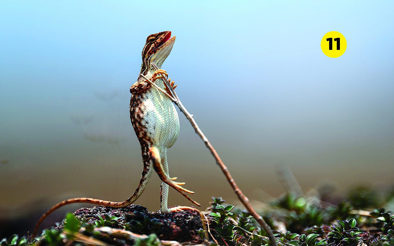 Photographer: Sanjay Patil