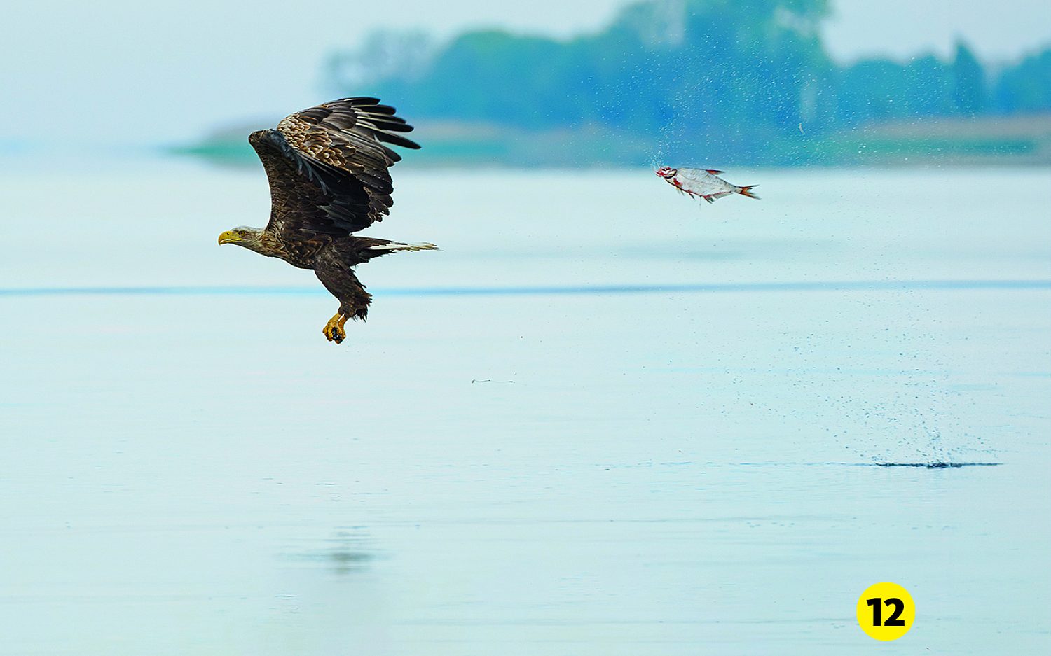 Photographer: Przemyslaw Jakubczyk 