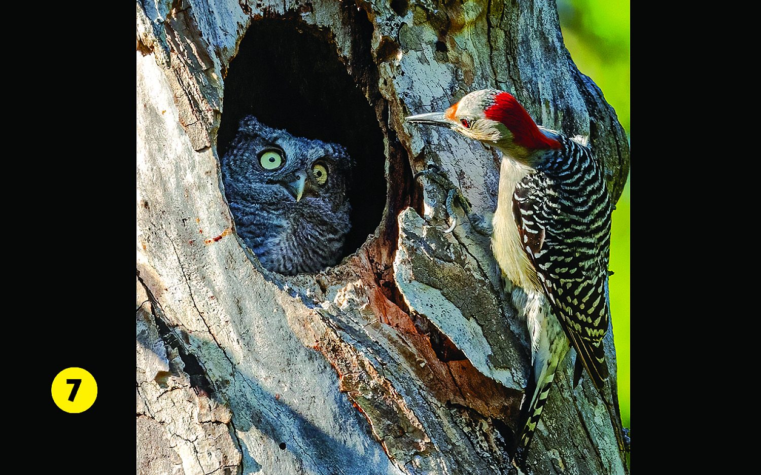 Photographer: Randy Herman