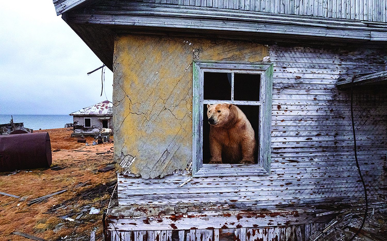 (AP/Vadim Makhorov)