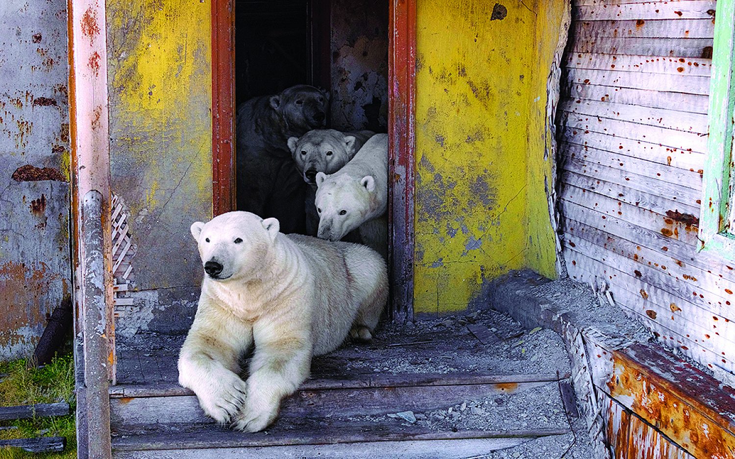 (AP/Vadim Makhorov)